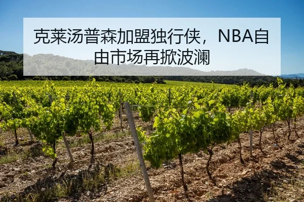 克莱汤普森加盟独行侠，NBA自由市场再掀波澜