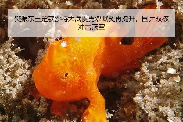 fan-zhen-dong-wang-chu-qin-sha-te-da-man-guan-nan-shuang-mo-qi-zai-ti-sheng-guo-ping-shuang-he-chong-ji-guan-jun-3-469.jpg